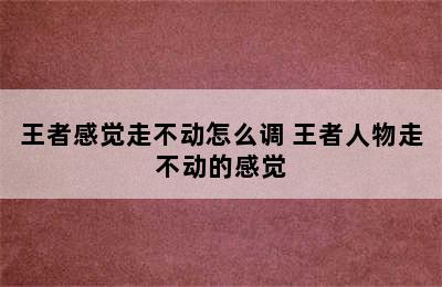 王者感觉走不动怎么调 王者人物走不动的感觉